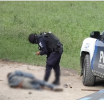 Narcos Desconcertados